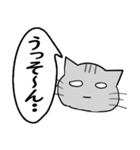 ひと言伝えるふきだしネコ 16（個別スタンプ：15）