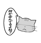 ひと言伝えるふきだしネコ 16（個別スタンプ：16）