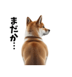 柴犬の気まぐれ次郎さん【修正版】（個別スタンプ：32）