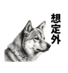 柴犬の気まぐれ次郎さん【修正版】（個別スタンプ：39）