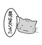 ひと言伝えるふきだしネコ 17（個別スタンプ：19）