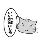 ひと言伝えるふきだしネコ 17（個別スタンプ：28）