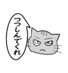 ひと言伝えるふきだしネコ 17（個別スタンプ：31）