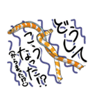 からまるチンアナゴとニシキアナゴスタンプ（個別スタンプ：31）