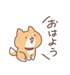 柴犬「まろさん」（個別スタンプ：4）