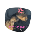 めろさんの挨拶（個別スタンプ：6）