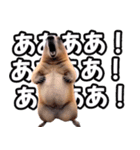 ⚫ボバクマーモット2⭐32匹セット（個別スタンプ：19）