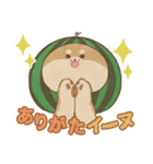 スイカイーヌ（個別スタンプ：3）