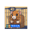 風変わりな野生動物スタンプ（個別スタンプ：1）