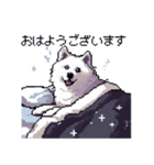 ドット絵 シベリアンハスキー 白 40種 日常（個別スタンプ：1）