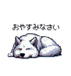 ドット絵 シベリアンハスキー 白 40種 日常（個別スタンプ：2）