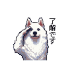 ドット絵 シベリアンハスキー 白 40種 日常（個別スタンプ：6）