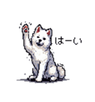 ドット絵 シベリアンハスキー 白 40種 日常（個別スタンプ：7）