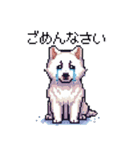 ドット絵 シベリアンハスキー 白 40種 日常（個別スタンプ：16）