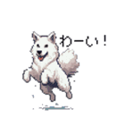 ドット絵 シベリアンハスキー 白 40種 日常（個別スタンプ：17）