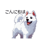 ドット絵 シベリアンハスキー 白 40種 日常（個別スタンプ：23）