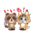 かわいいネコ ニャン❤️（個別スタンプ：1）
