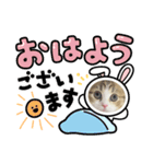 かわいいネコ ニャン❤️（個別スタンプ：2）