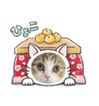 かわいいネコ ニャン❤️（個別スタンプ：3）