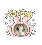 かわいいネコ ニャン❤️（個別スタンプ：4）