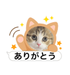 かわいいネコ ニャン❤️（個別スタンプ：5）