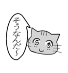 ひと言伝えるふきだしネコ 18（個別スタンプ：8）