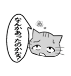 ひと言伝えるふきだしネコ 18（個別スタンプ：22）