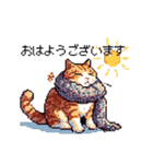 ドット絵 冬のキジトラ 猫 40種 定番（個別スタンプ：1）