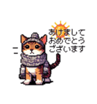 ドット絵 冬のキジトラ 猫 40種 定番（個別スタンプ：2）