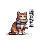 ドット絵 冬のキジトラ 猫 40種 定番（個別スタンプ：4）