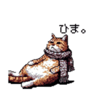 ドット絵 冬のキジトラ 猫 40種 定番（個別スタンプ：5）