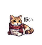 ドット絵 冬のキジトラ 猫 40種 定番（個別スタンプ：6）