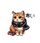 ドット絵 冬のキジトラ 猫 40種 定番（個別スタンプ：8）