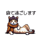 ドット絵 冬のキジトラ 猫 40種 定番（個別スタンプ：9）