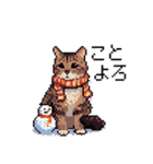 ドット絵 冬のキジトラ 猫 40種 定番（個別スタンプ：10）