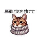 ドット絵 冬のキジトラ 猫 40種 定番（個別スタンプ：11）