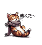 ドット絵 冬のキジトラ 猫 40種 定番（個別スタンプ：12）