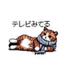 ドット絵 冬のキジトラ 猫 40種 定番（個別スタンプ：15）