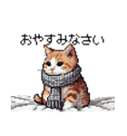 ドット絵 冬のキジトラ 猫 40種 定番（個別スタンプ：16）