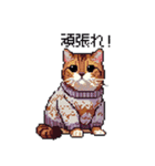 ドット絵 冬のキジトラ 猫 40種 定番（個別スタンプ：18）