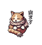 ドット絵 冬のキジトラ 猫 40種 定番（個別スタンプ：19）