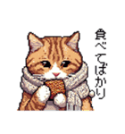 ドット絵 冬のキジトラ 猫 40種 定番（個別スタンプ：20）