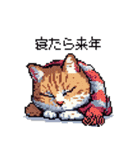 ドット絵 冬のキジトラ 猫 40種 定番（個別スタンプ：21）