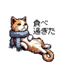 ドット絵 冬のキジトラ 猫 40種 定番（個別スタンプ：22）