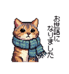 ドット絵 冬のキジトラ 猫 40種 定番（個別スタンプ：25）