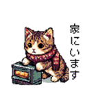 ドット絵 冬のキジトラ 猫 40種 定番（個別スタンプ：27）