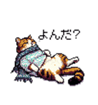 ドット絵 冬のキジトラ 猫 40種 定番（個別スタンプ：29）