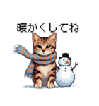 ドット絵 冬のキジトラ 猫 40種 定番（個別スタンプ：32）