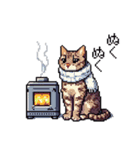 ドット絵 冬のキジトラ 猫 40種 定番（個別スタンプ：35）