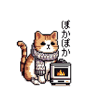 ドット絵 冬のキジトラ 猫 40種 定番（個別スタンプ：36）